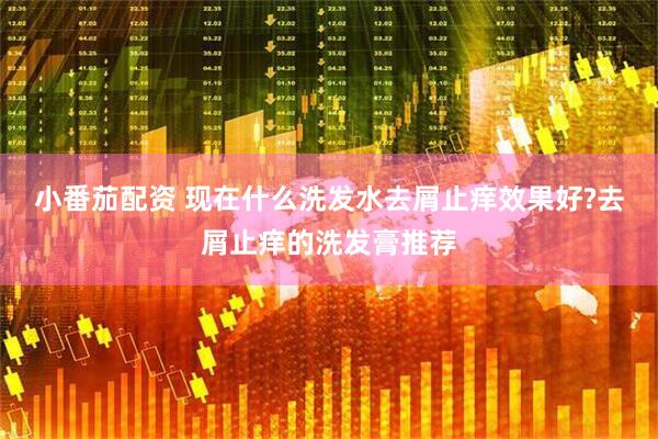 小番茄配资 现在什么洗发水去屑止痒效果好?去屑止痒的洗发膏推荐