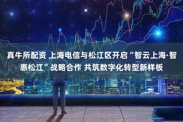 真牛所配资 上海电信与松江区开启“智云上海·智惠松江”战略合作 共筑数字化转型新样板